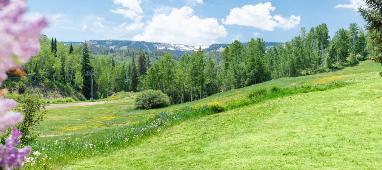 Laurelwood Condominiums 110 Snowmass Village Εξωτερικό φωτογραφία